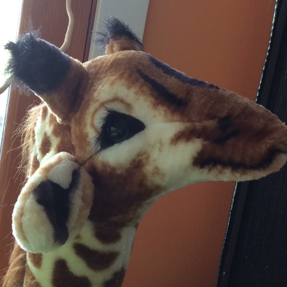 Meet your Posher, Chhaya